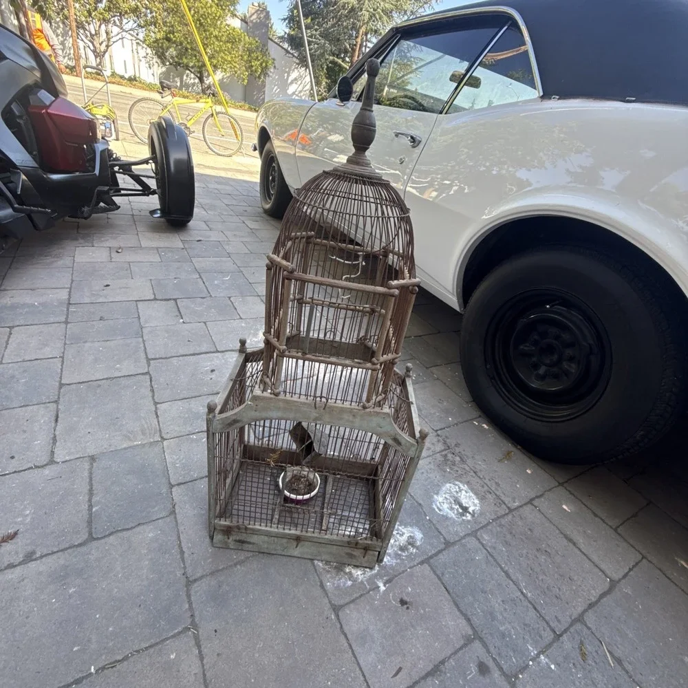 VTG VICTORIAN CATHEDRAL BIRD CAGE WOOD & WIRE MID CENTURY DOME BIRD CAGE 34X14X9